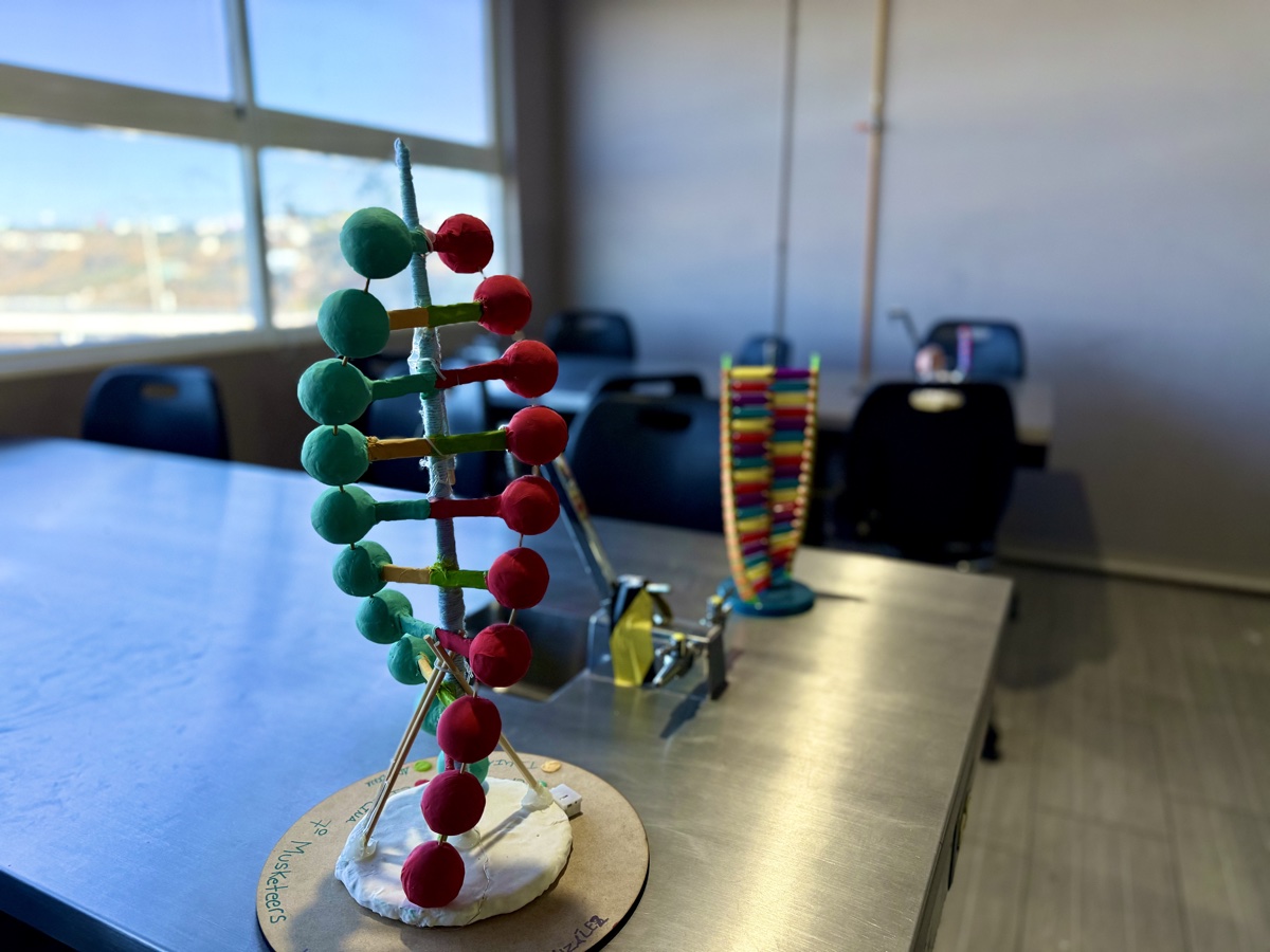Science Lab — DNA Models