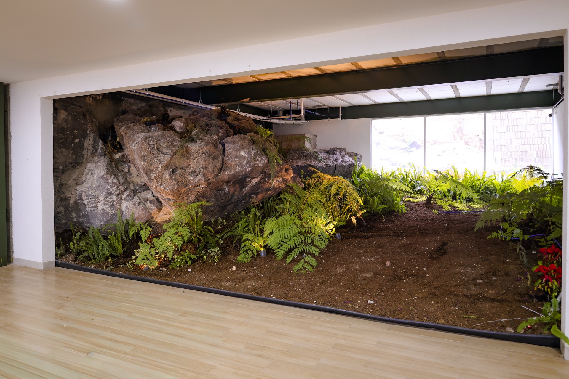 Interior Spaces