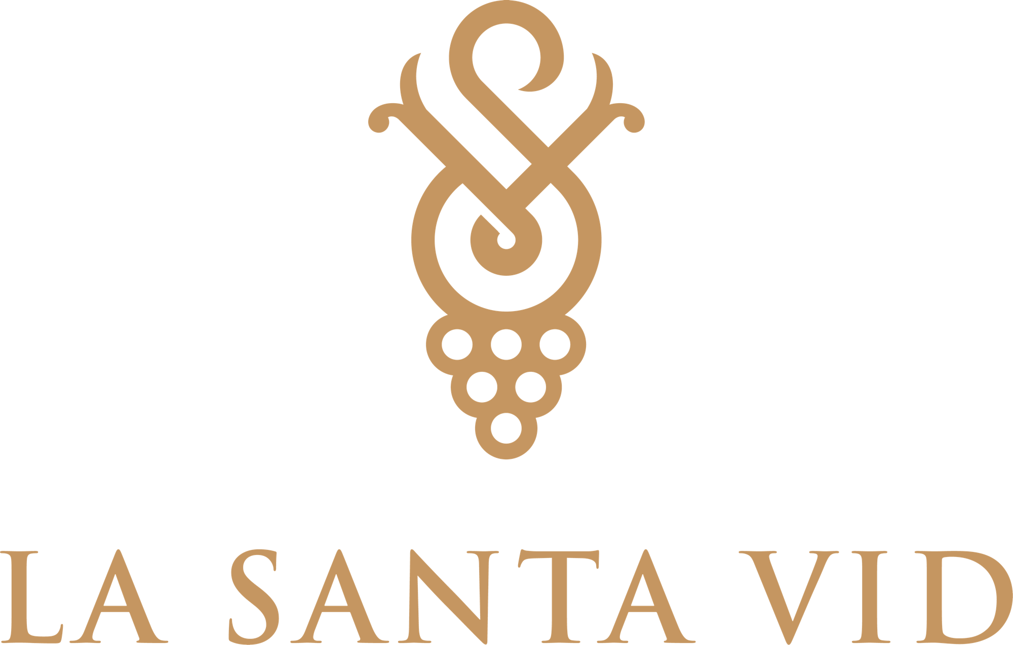 La Santa Vid