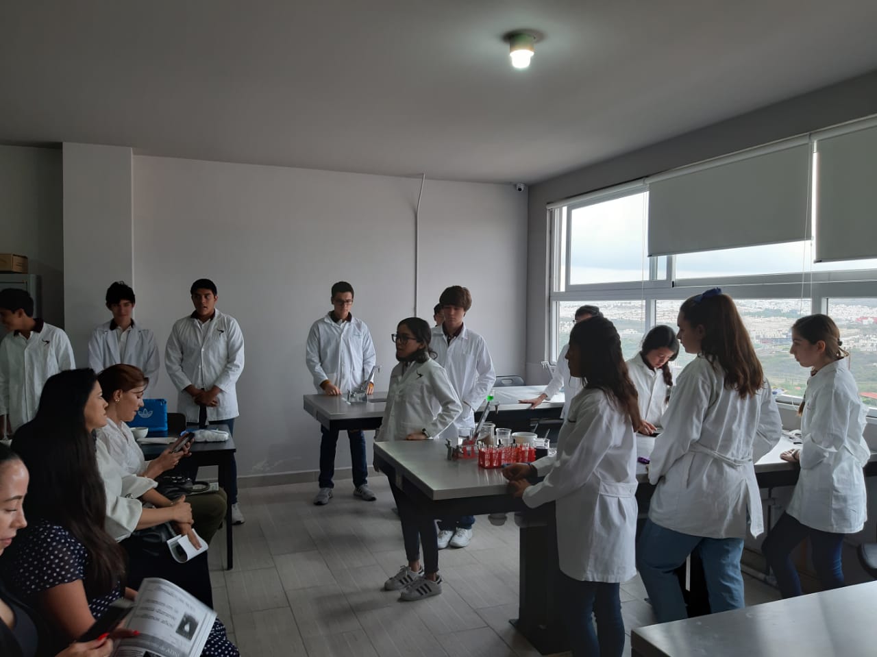 Proyectos Finales: Vikingos
