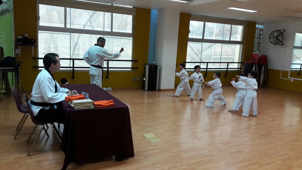 Evaluación de Taekwondo