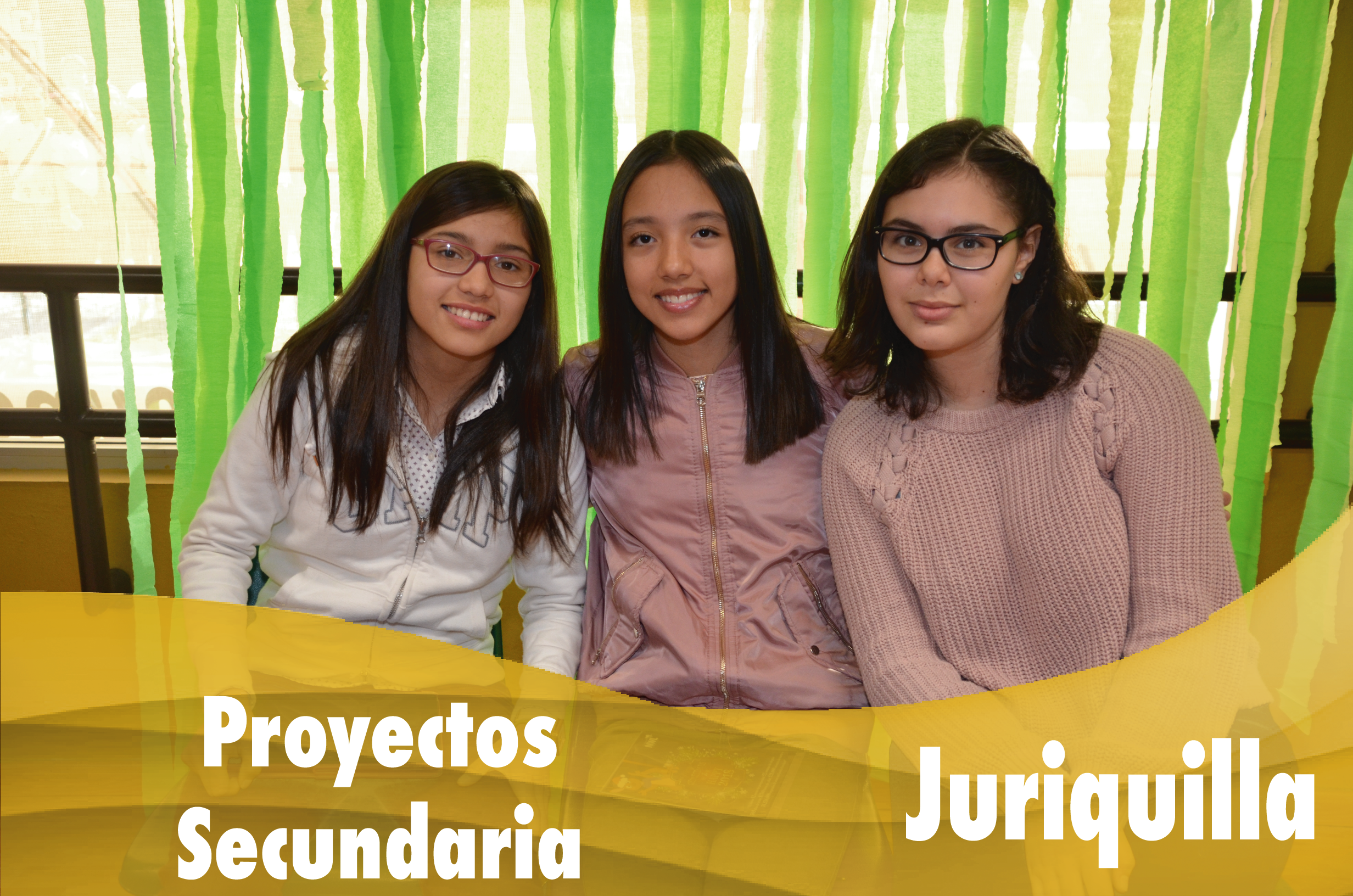 Proyectos de secundaria