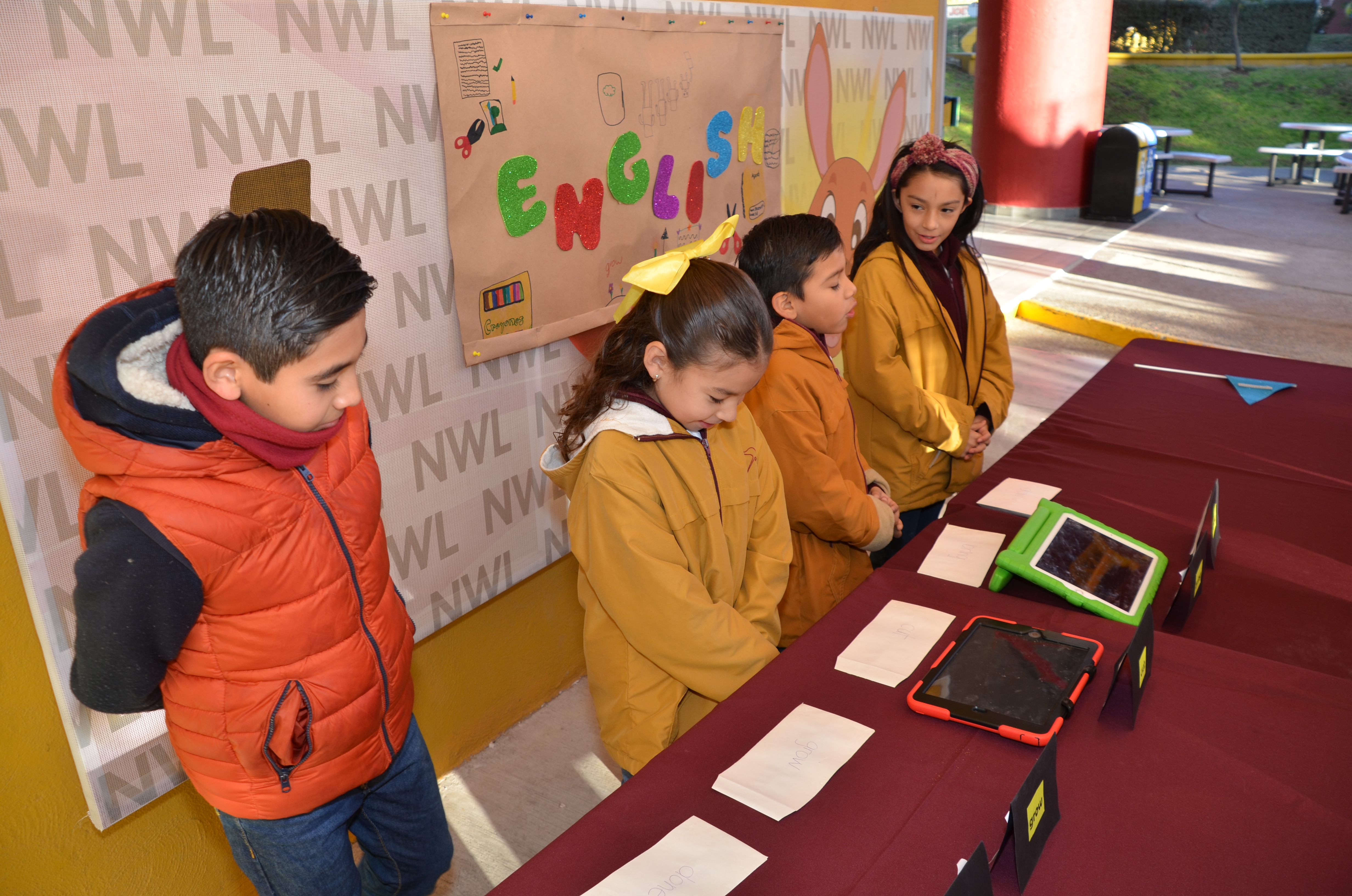 Proyectos primaria baja