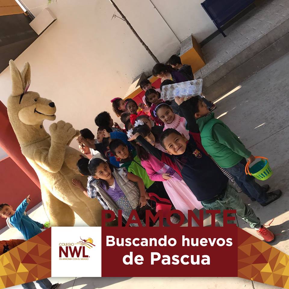 Búsqueda de Huevos de Pascua 