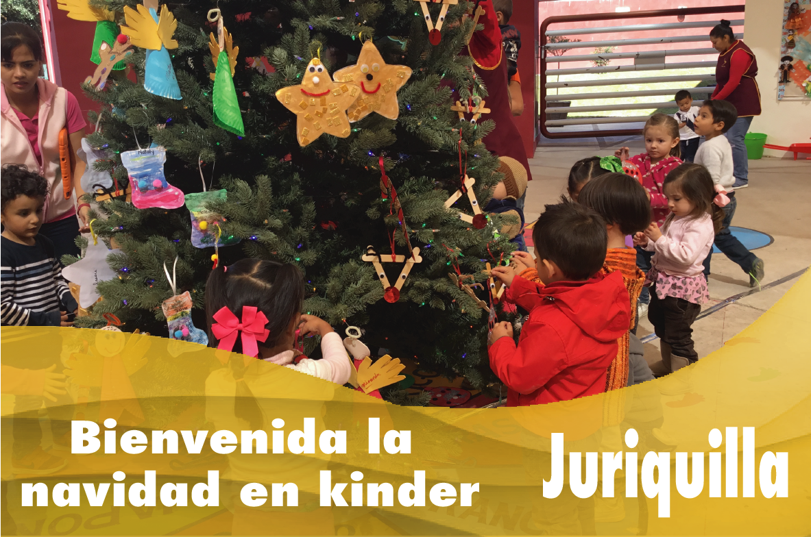Bienvenida la navidad
