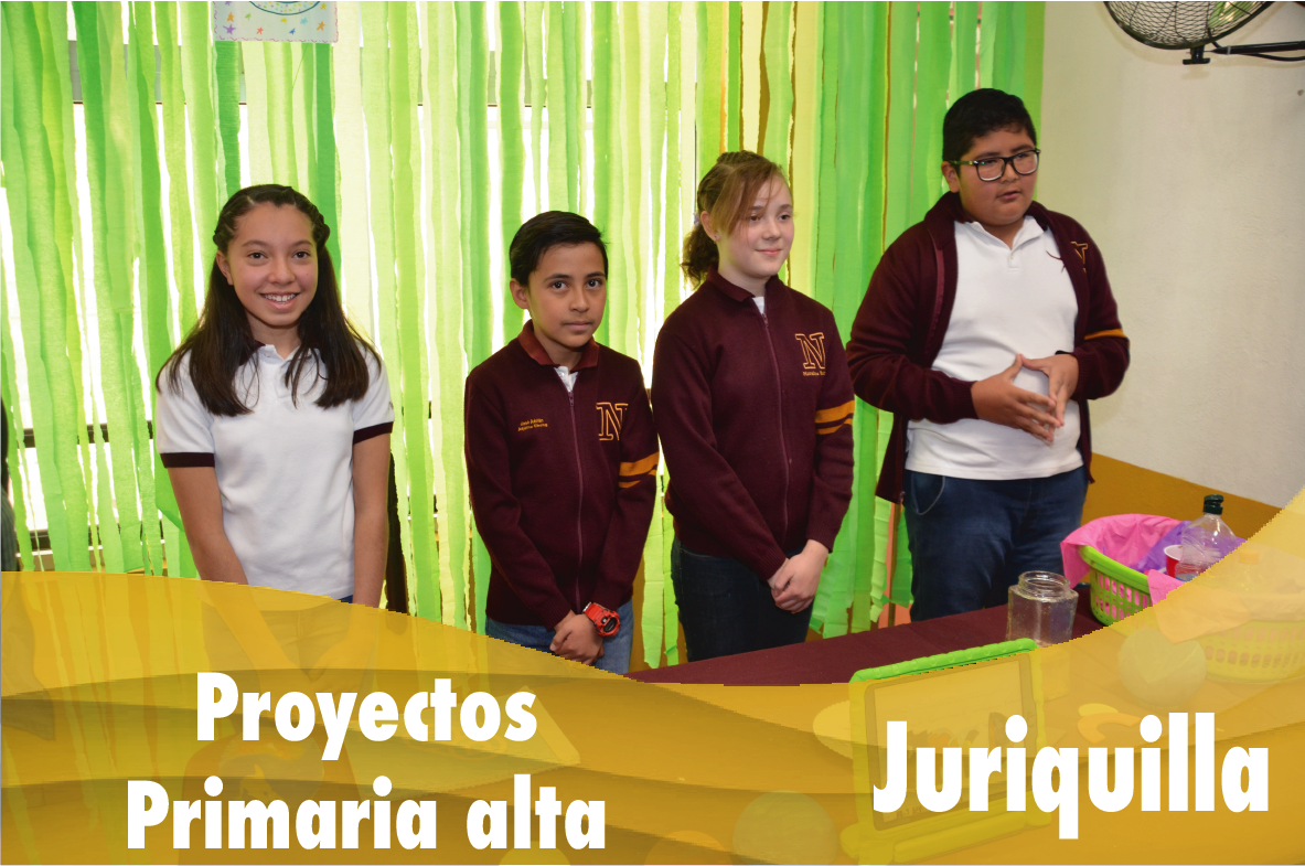 Proyectos de primaria alta
