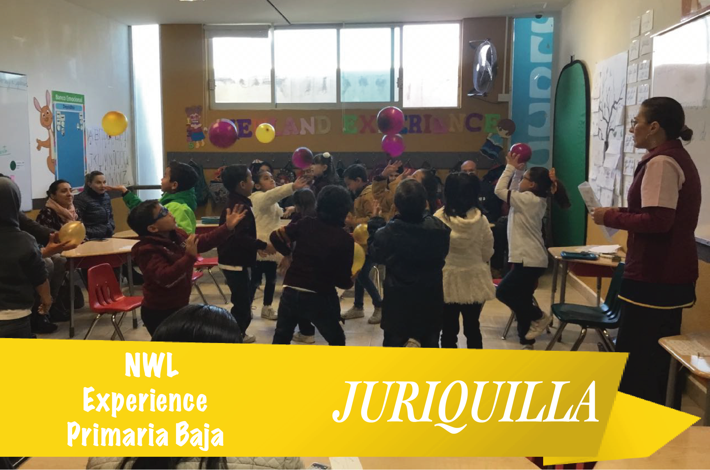 Newland Experience Primaria baja