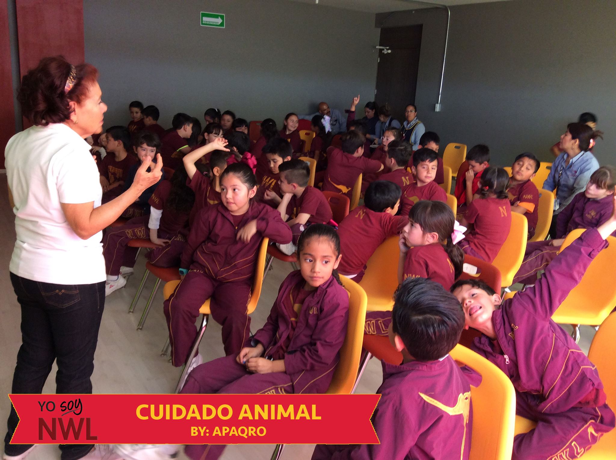 Cuidado animal.