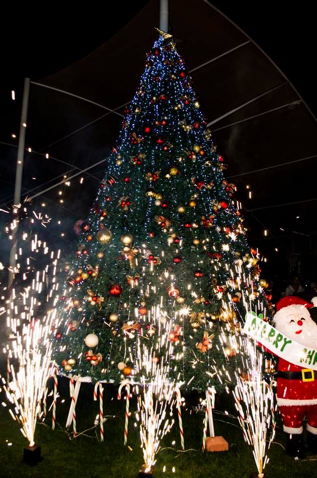 Encendido del Árbol Navideño