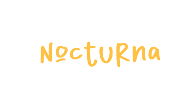 venta nocturna nwl 2023